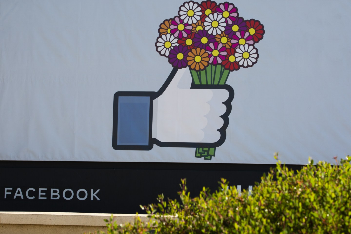Facebook whistleblower: Government leaders routinely use platform to distort facts, manipulate voters