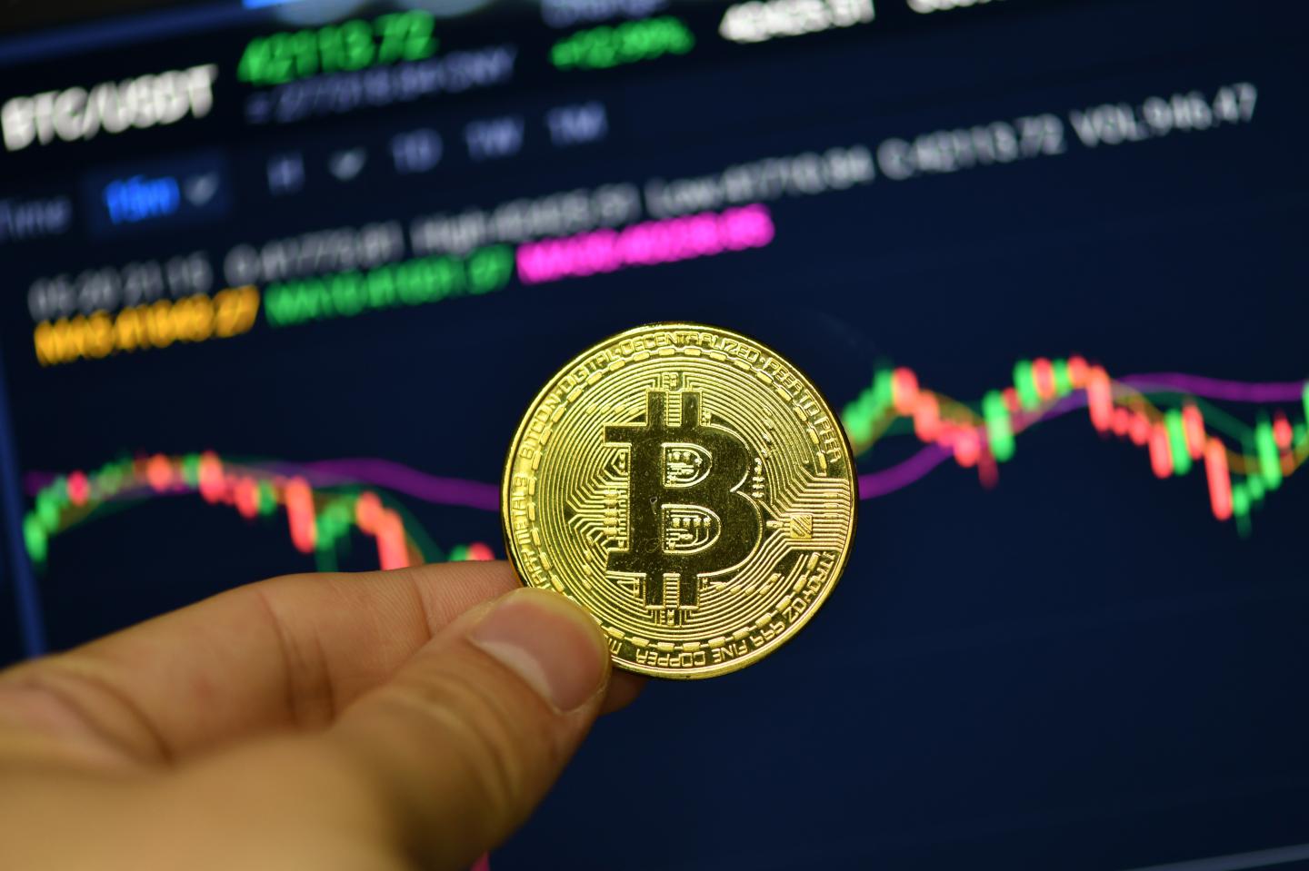 What happened Wednesday? Crypto proved surprisingly resilient