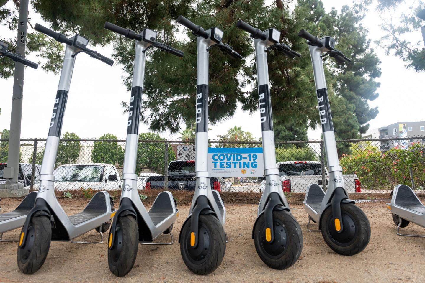 bird scooter for rent in LA