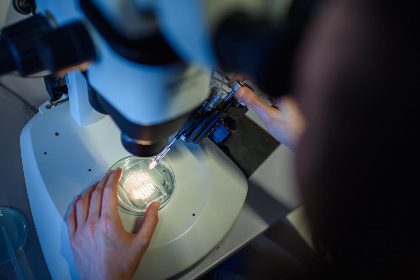 UC Berkeley’s latest fundraising idea? Auction data that helped win a Nobel Prize as an NFT