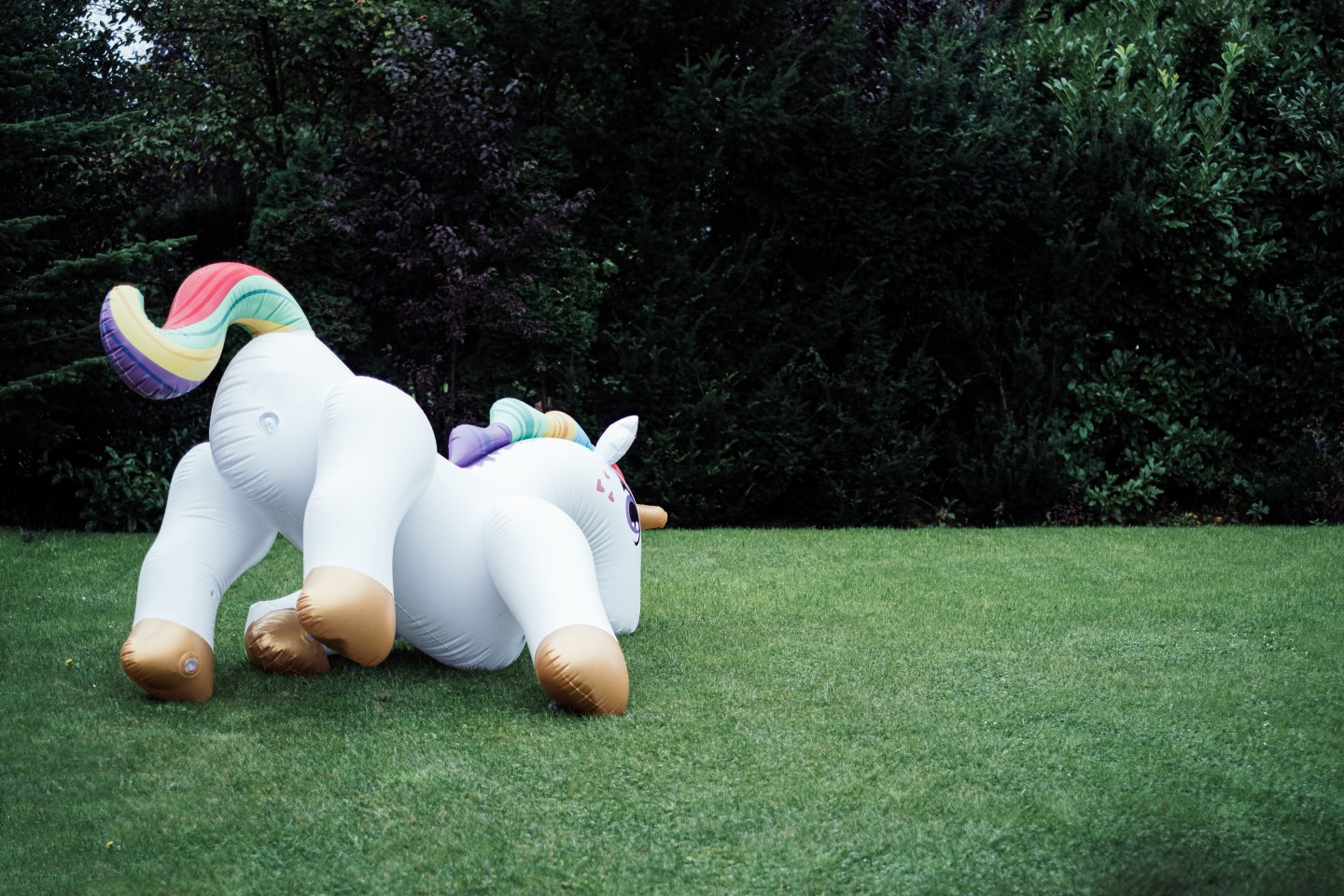 What percent of unicorns fail?