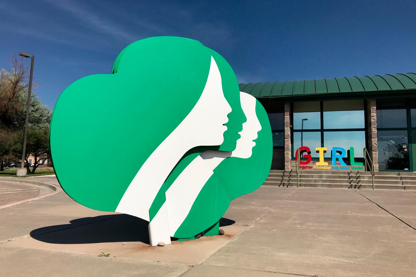 The Girl Scouts have millions of unsold cookie boxes as they struggle to navigate the pandemic