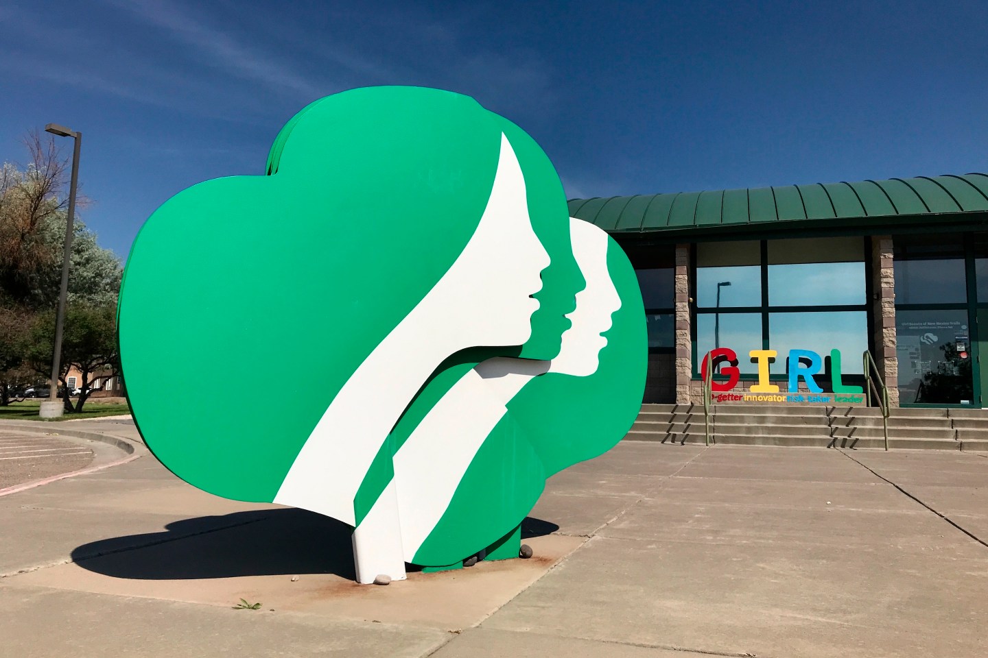 The Girl Scouts have millions of unsold cookie boxes as they struggle to navigate the pandemic