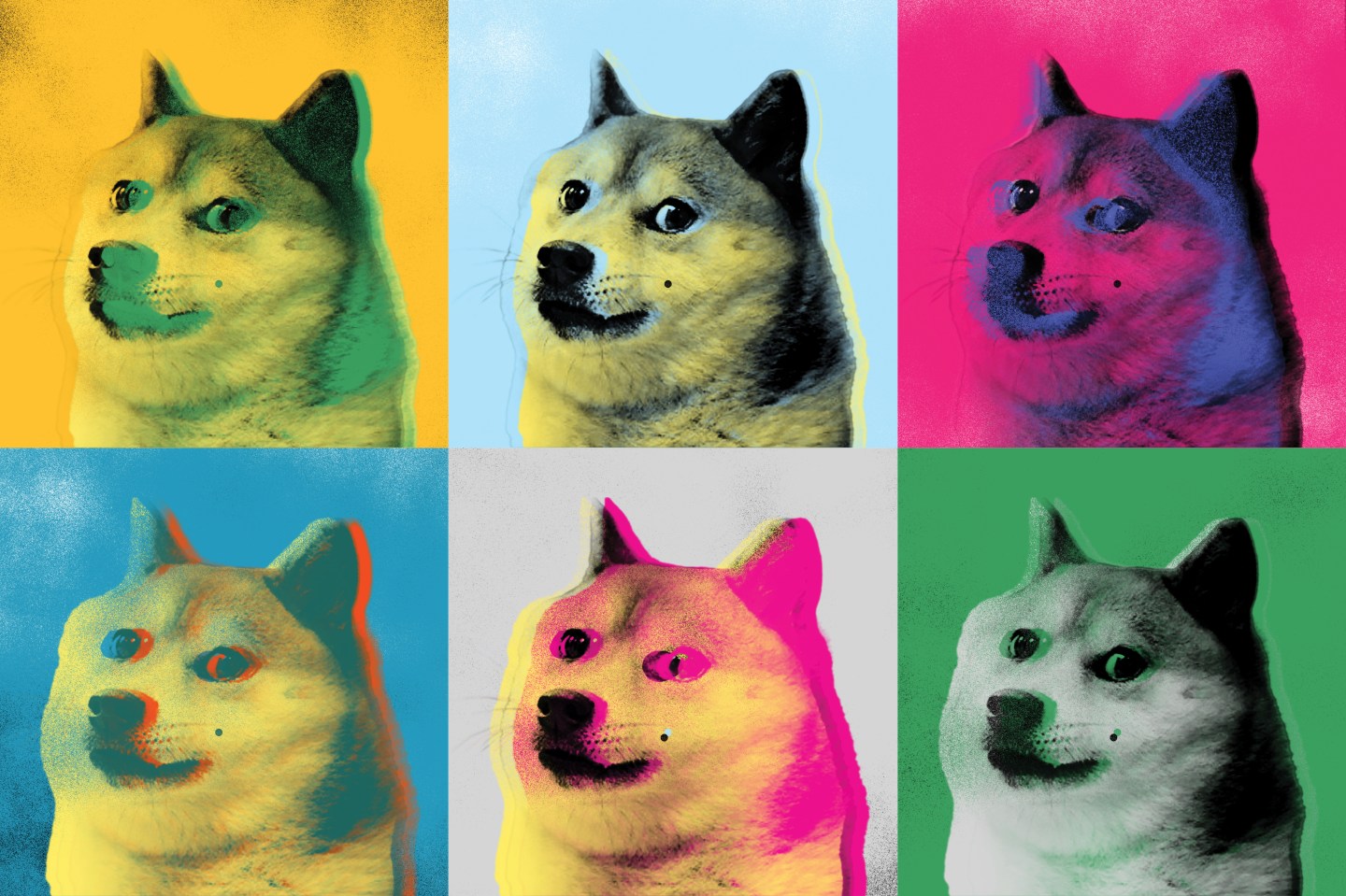 Hot cryptocurrencies set off a stampede for their unlikely mascot: Shiba Inu dogs