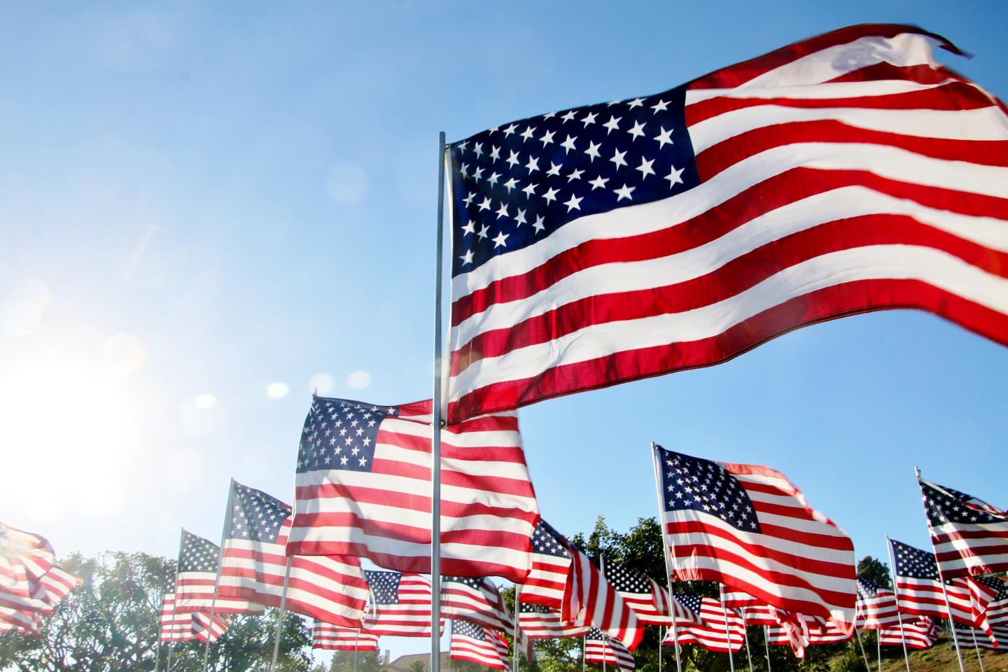 Several small American flags in the sun