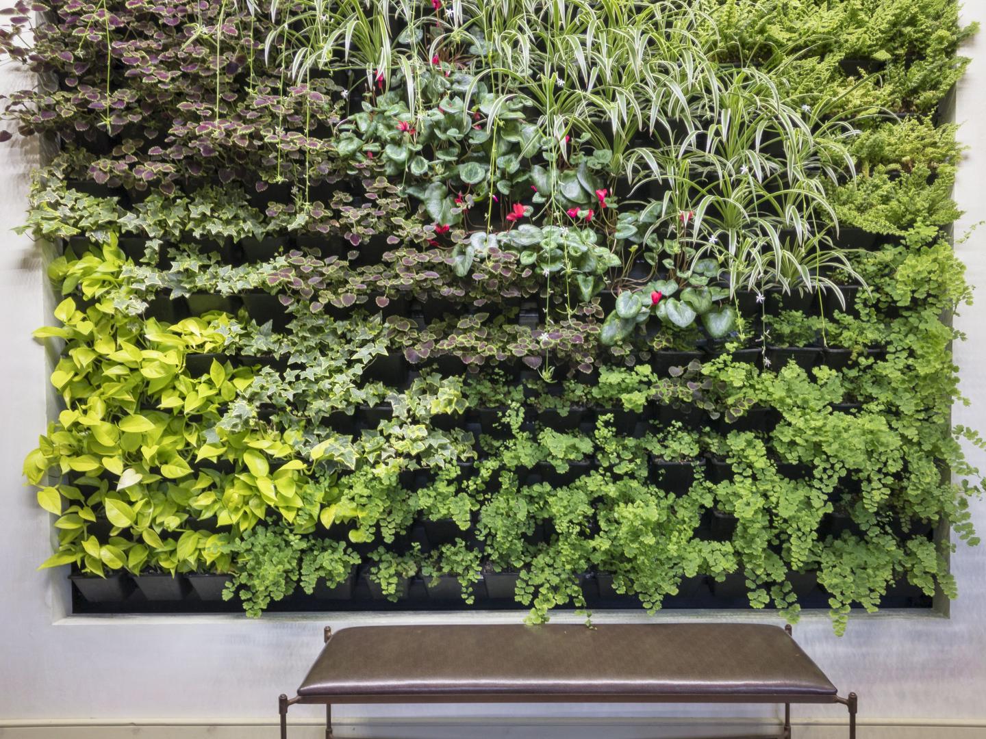 Is talking about climate change taboo at your workplace?