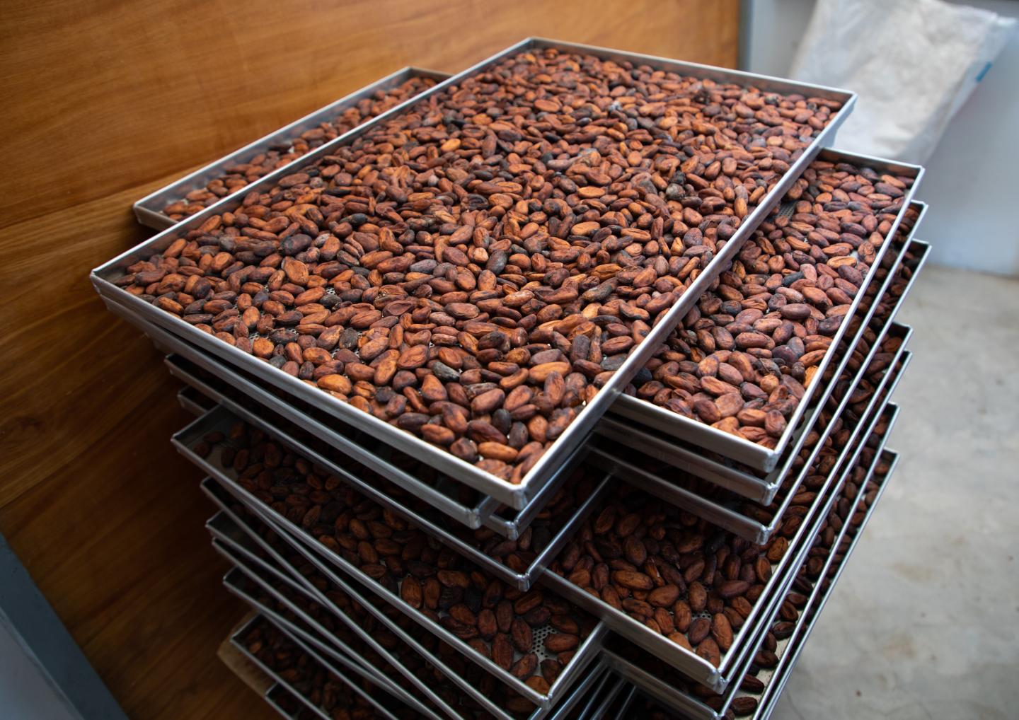 Big Chocolate wins its child-labor case in Supreme Court