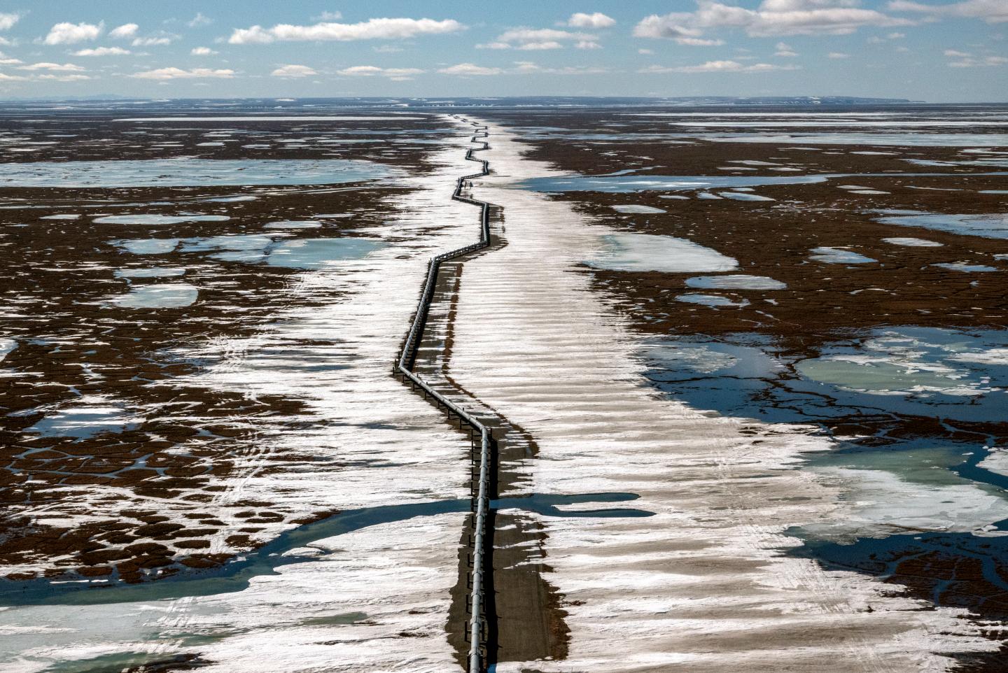 Biden administration suspends oil drilling rights in Alaska’s National Wildlife Refuge