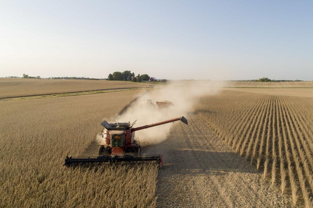 American farmers are having a bumper year—thanks to soaring demand from China