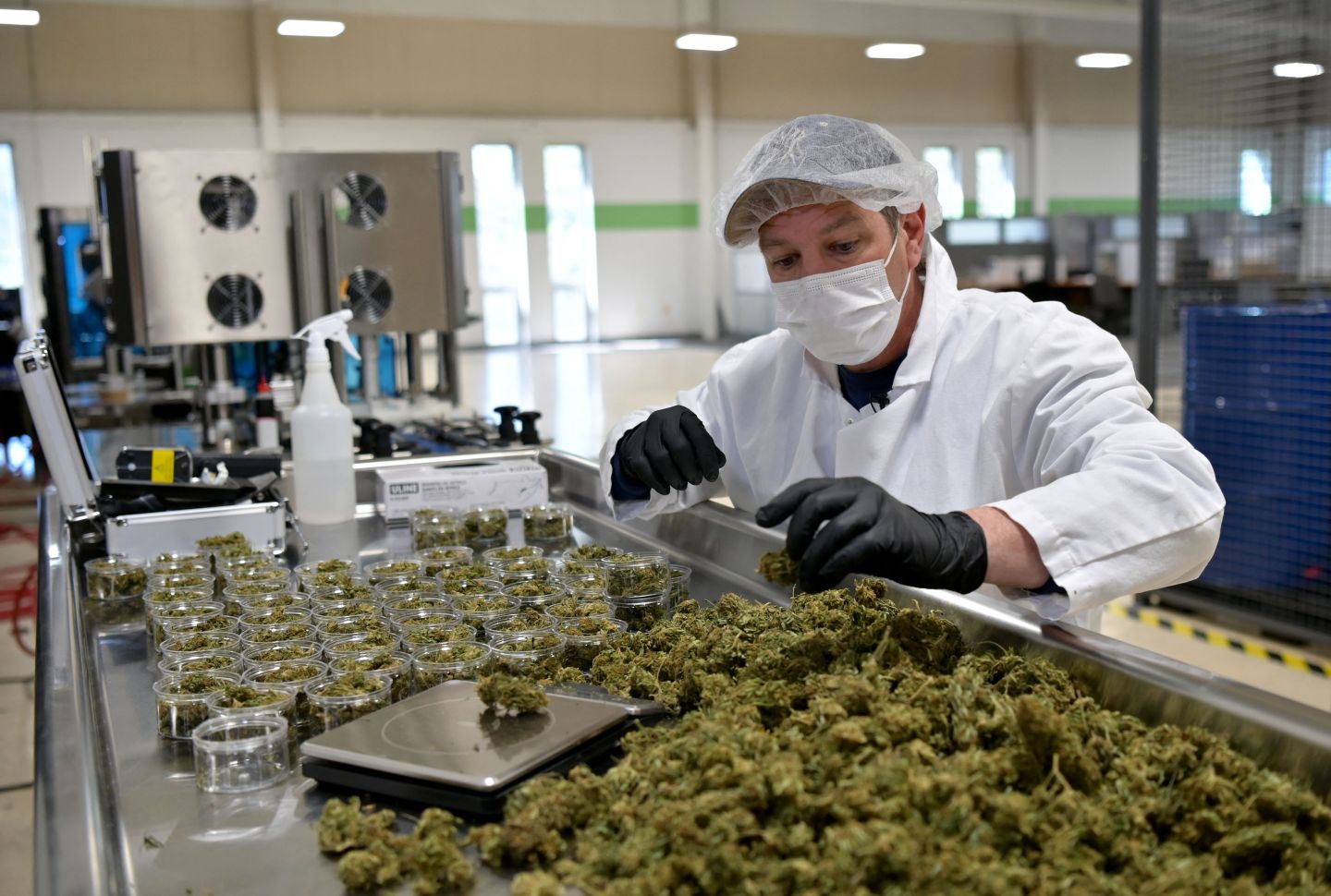 Weed wages 2021: Who earns how much in the pot industry?