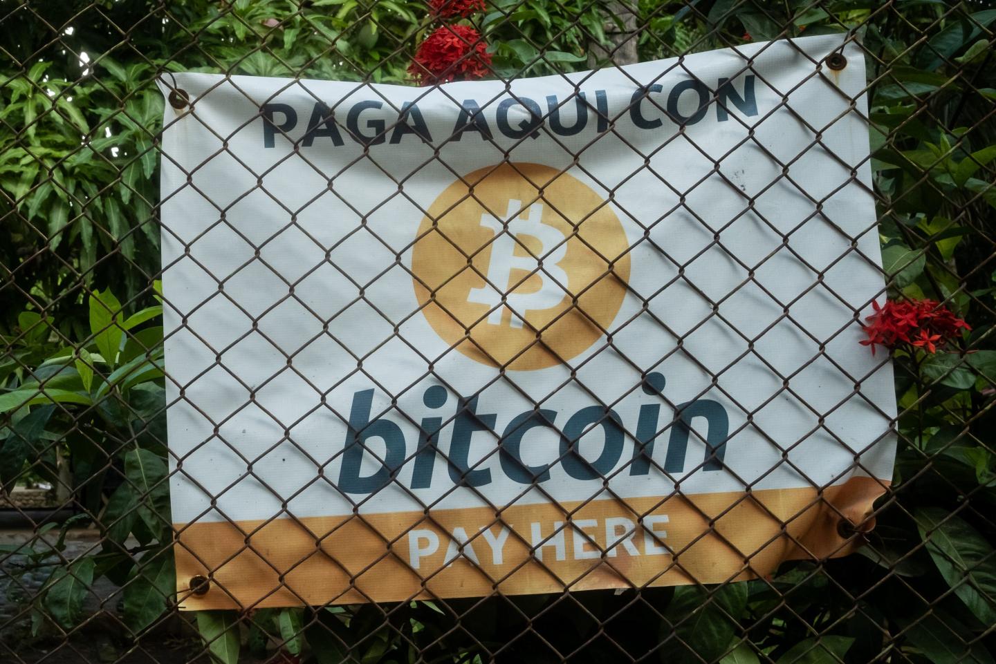 Support for making Bitcoin legal tender grows in Latin America