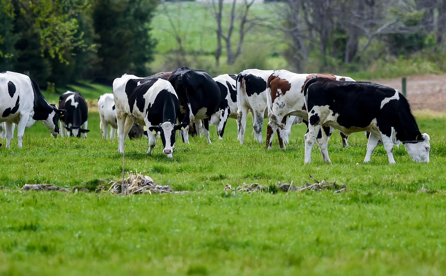 We’re eating more meat than ever, and it’s a big problem for climate change