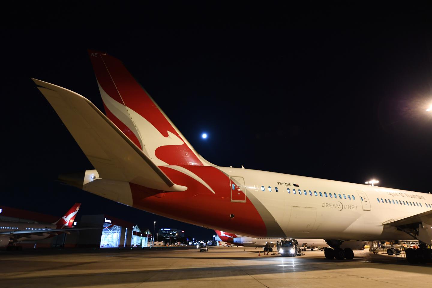 Qantas Airways is offering Australians a new incentive to get vaccinated: unlimited flights