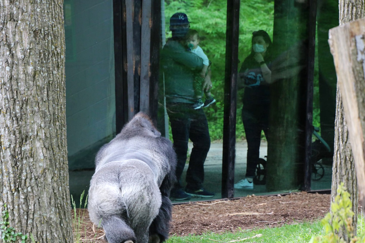 The Birmingham Zoo Entrance
