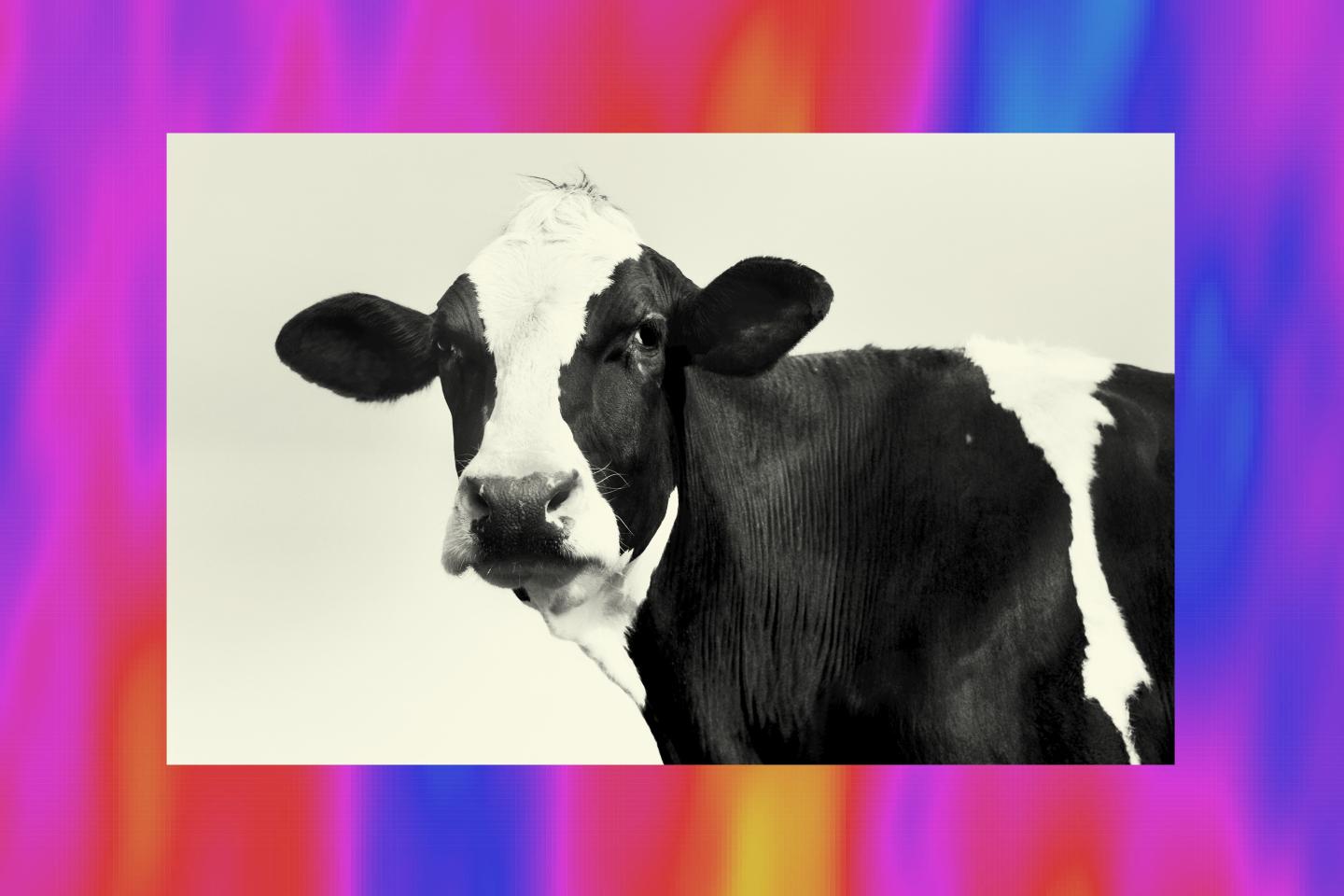 What the pandemic revealed about the meat supply chain