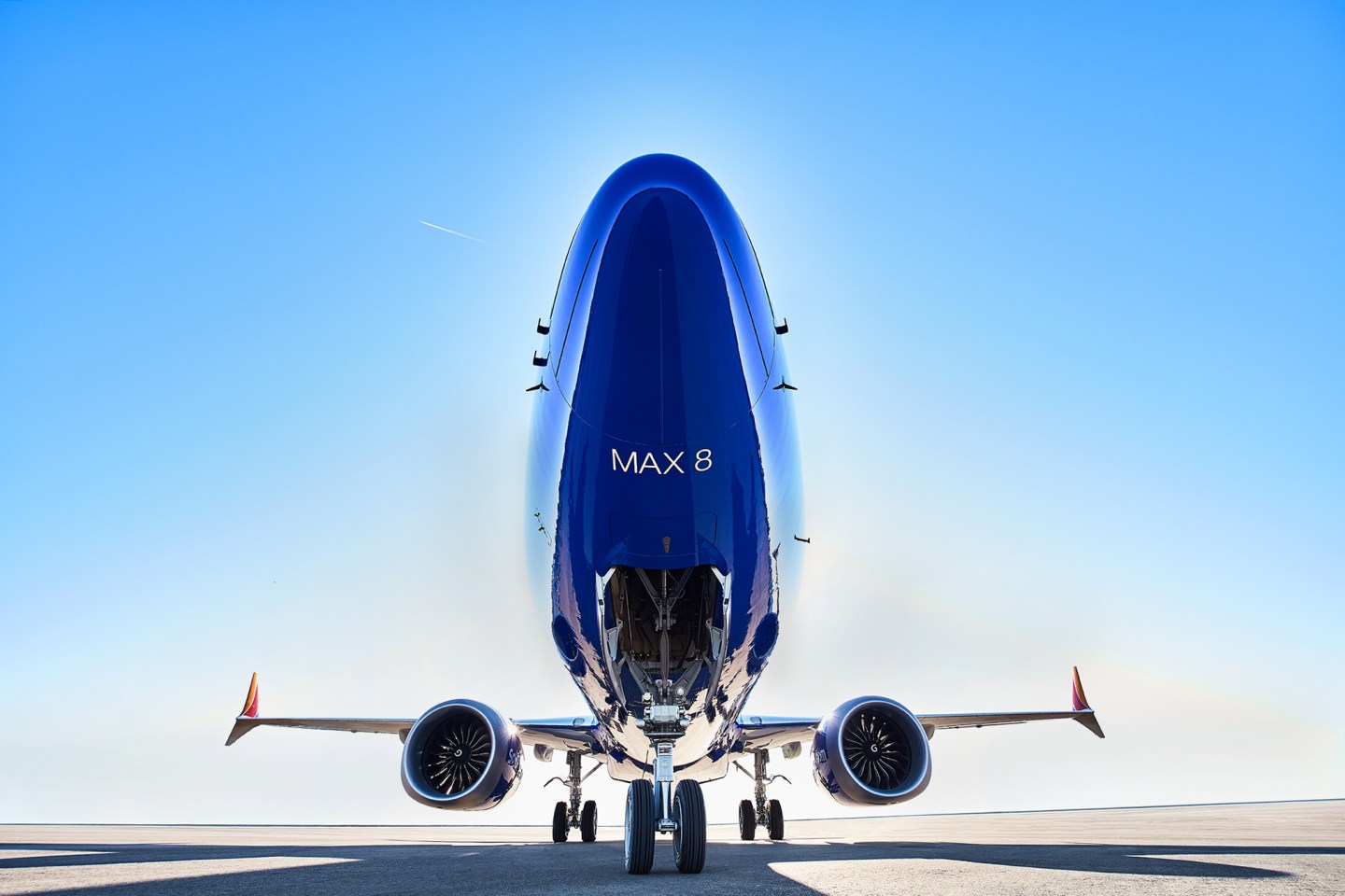 Southwest-50-Anniversary-737-Max8