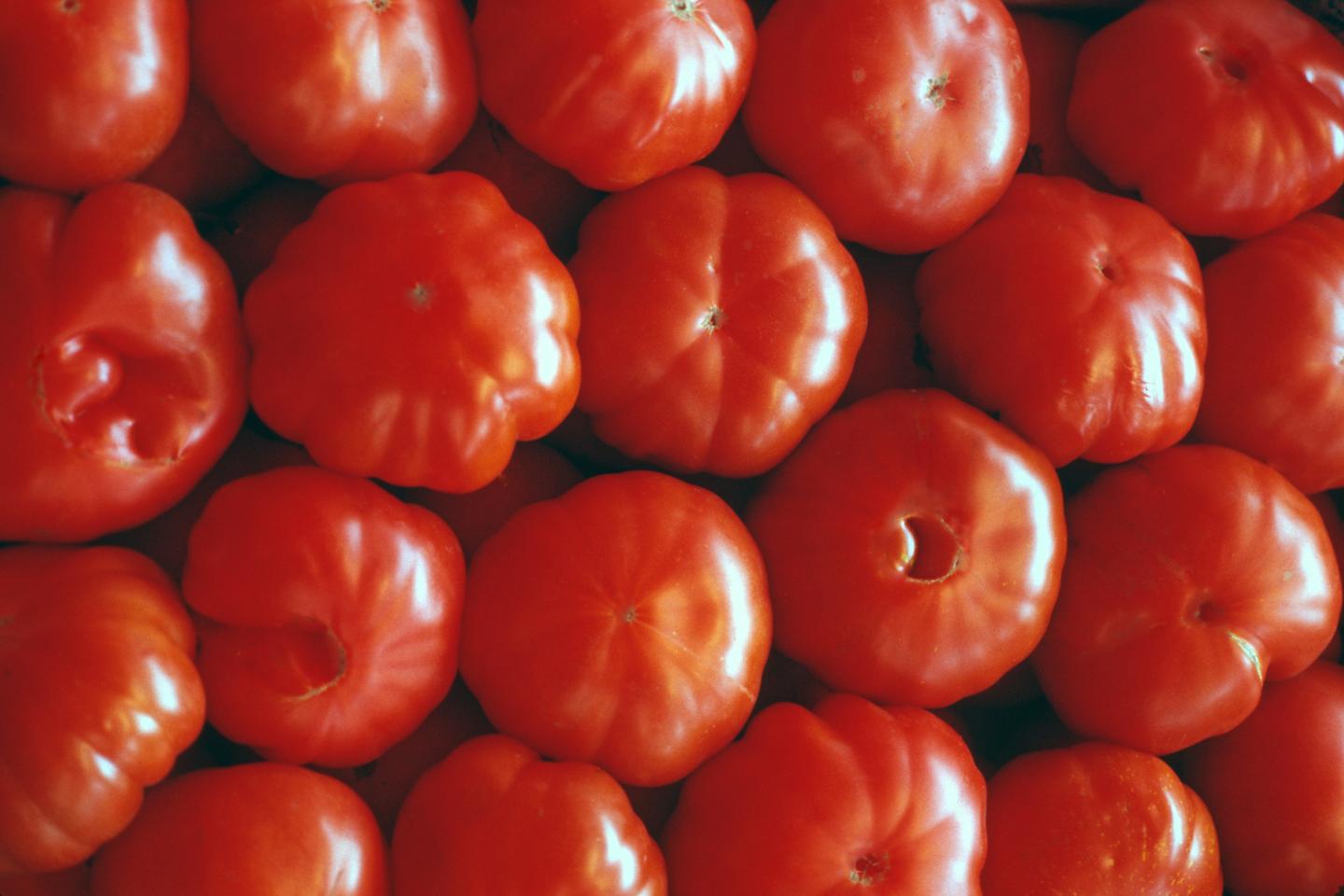 Prepare to pay more at the grocery store as extreme weather hits one of America’s most-used crops