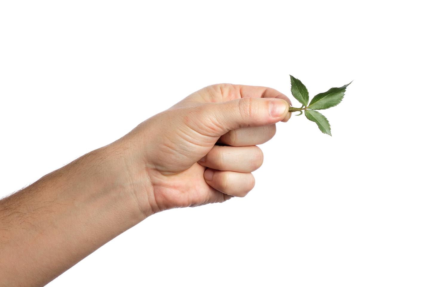 Carbon credit explainer: How the business of buying and selling emissions really works