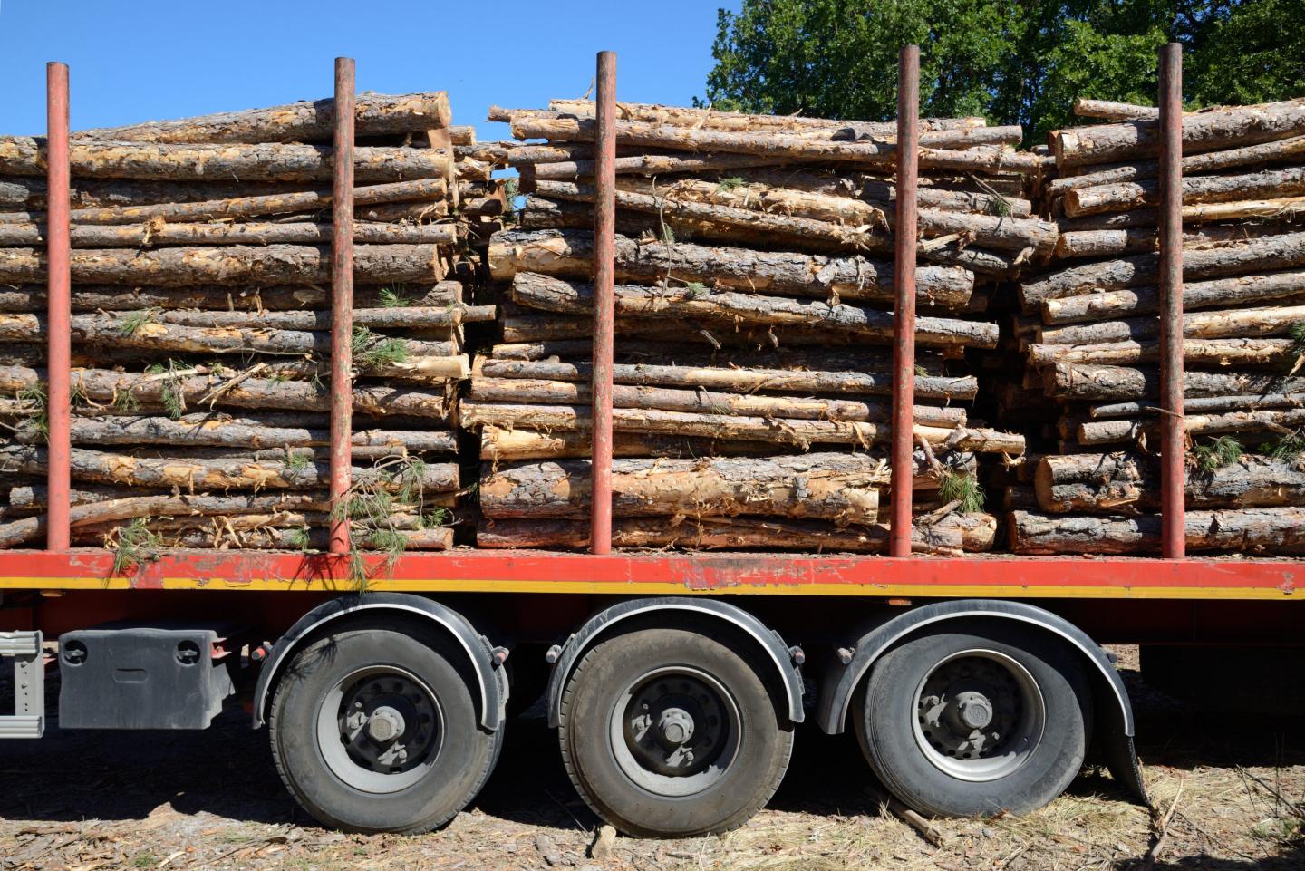 Lumber stack
