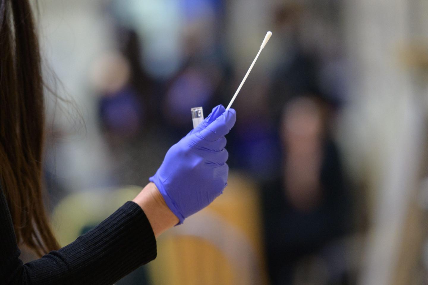 Covid test swab