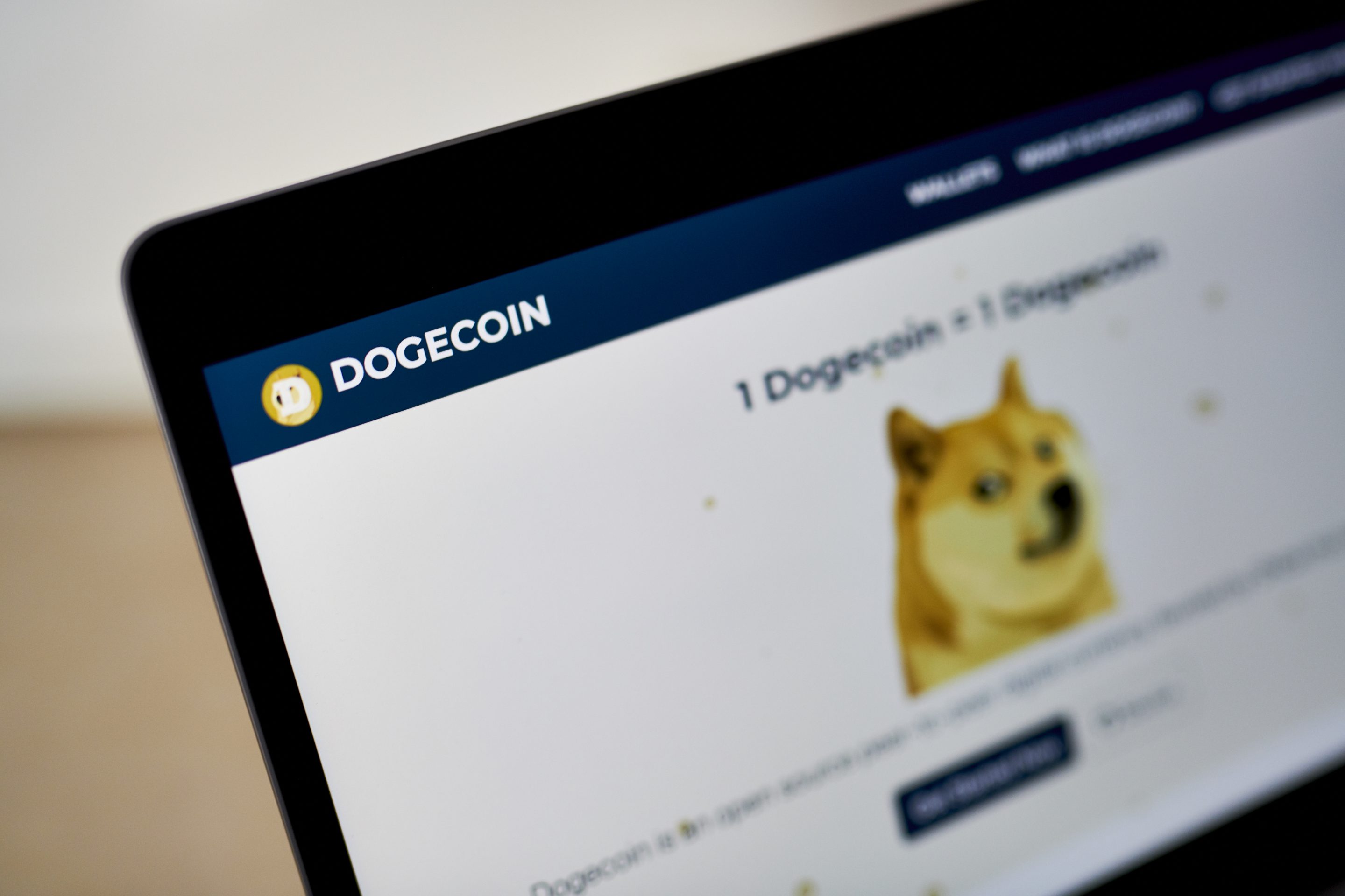 Dogecoin rises after Elon Musk tweets support | Fortune