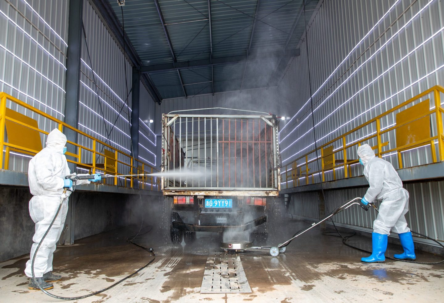 China is getting its pig epidemic under control, but it’s not out of the woods yet