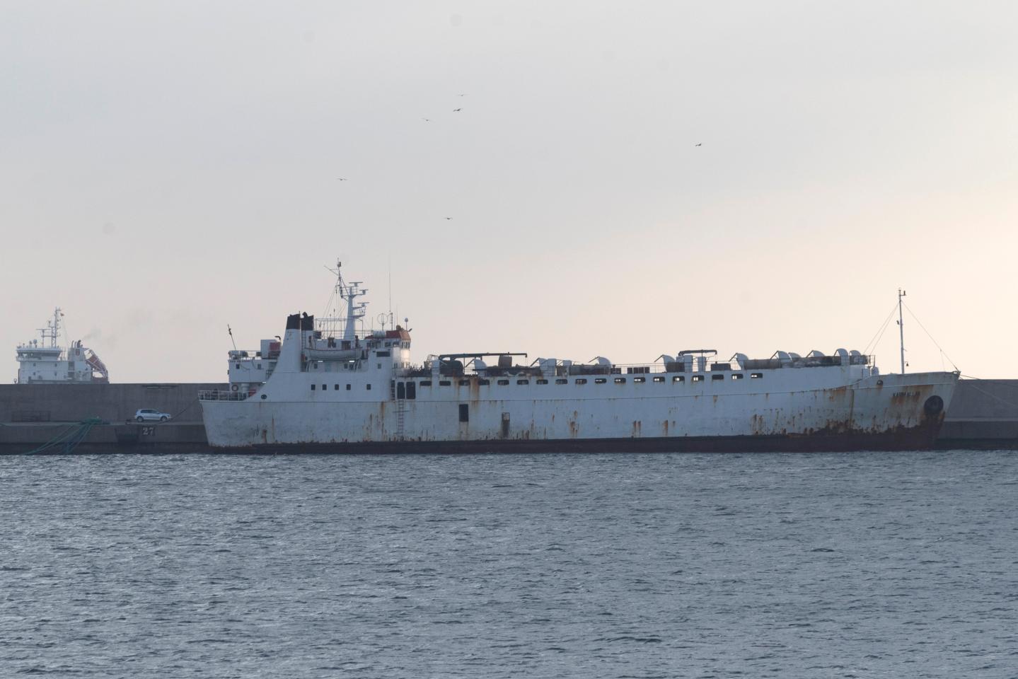 ‘We don’t look at the cargo or animal welfare’: Grisly deaths of 1,800 shipped cows fuel calls for live animal export ban
