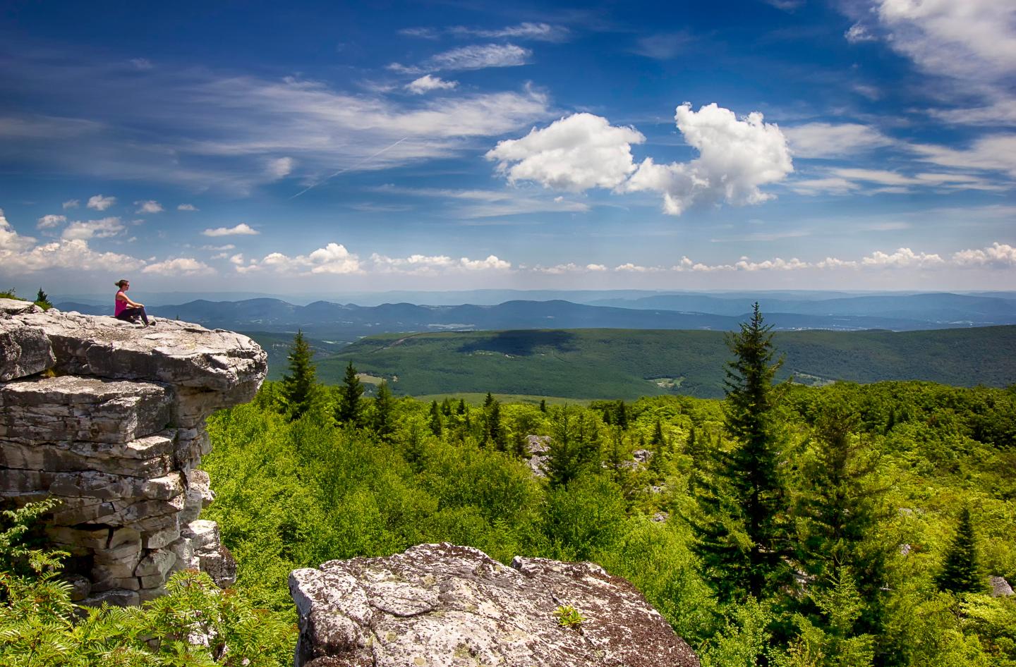 This former Big Tech CEO is offering a $12,000 relocation package to move to West Virginia