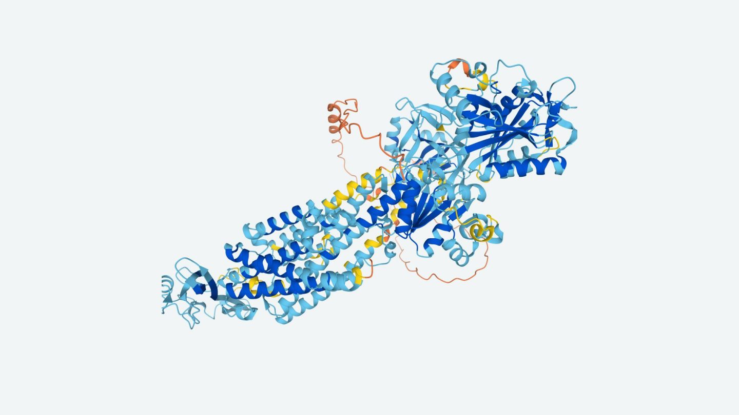 Image of a predicted protein structure rom the malaria parasite