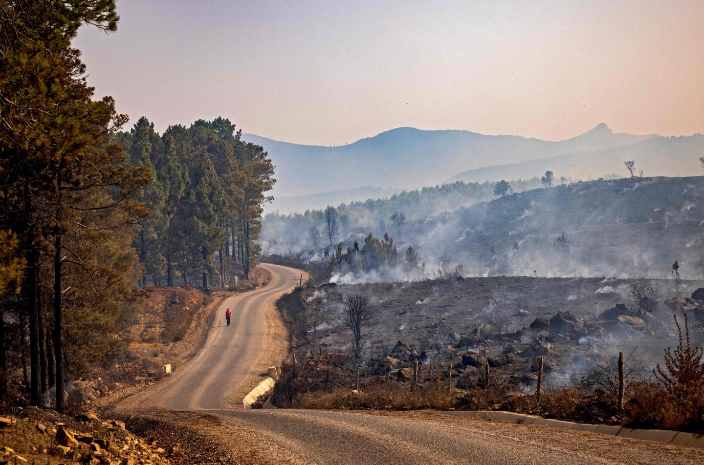 More corporations announce climate change goals, but are they moving fast enough?