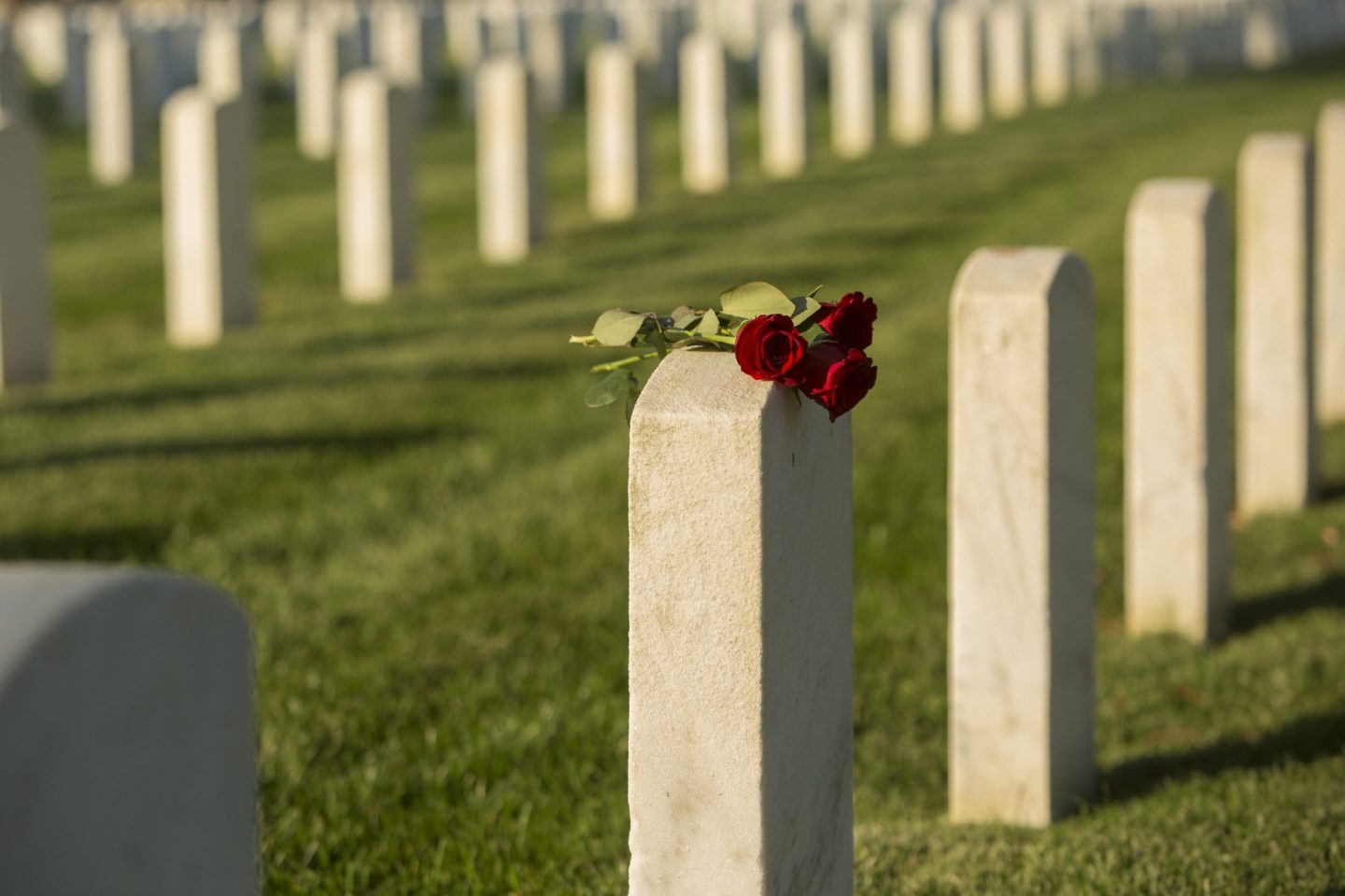 Flowers on a grave