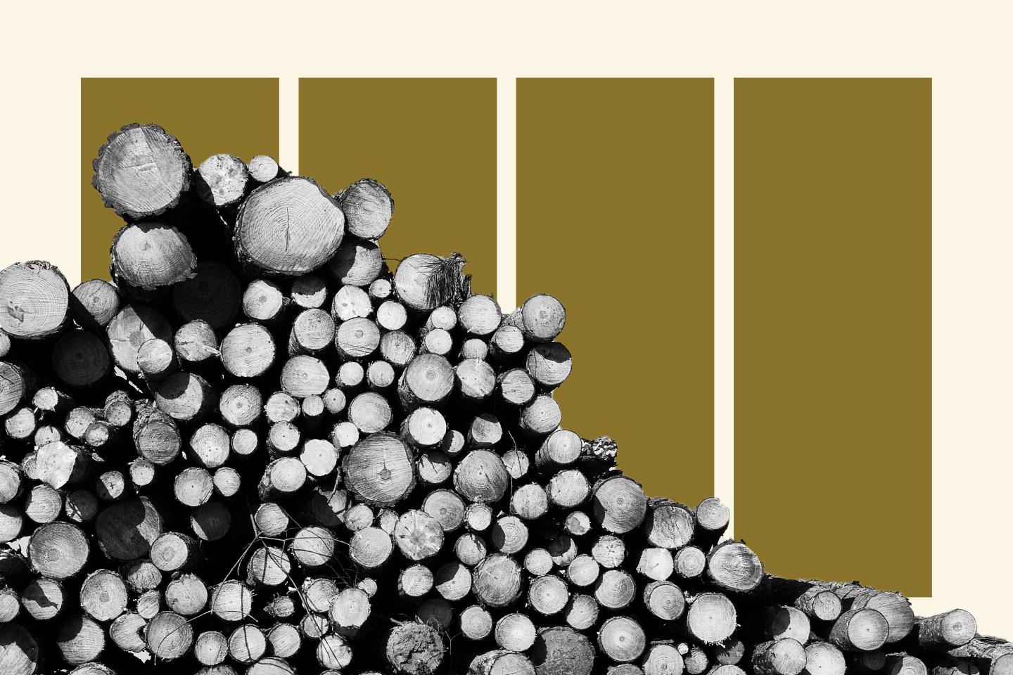 Lumber’s epic boom and bust, explained in 8 charts