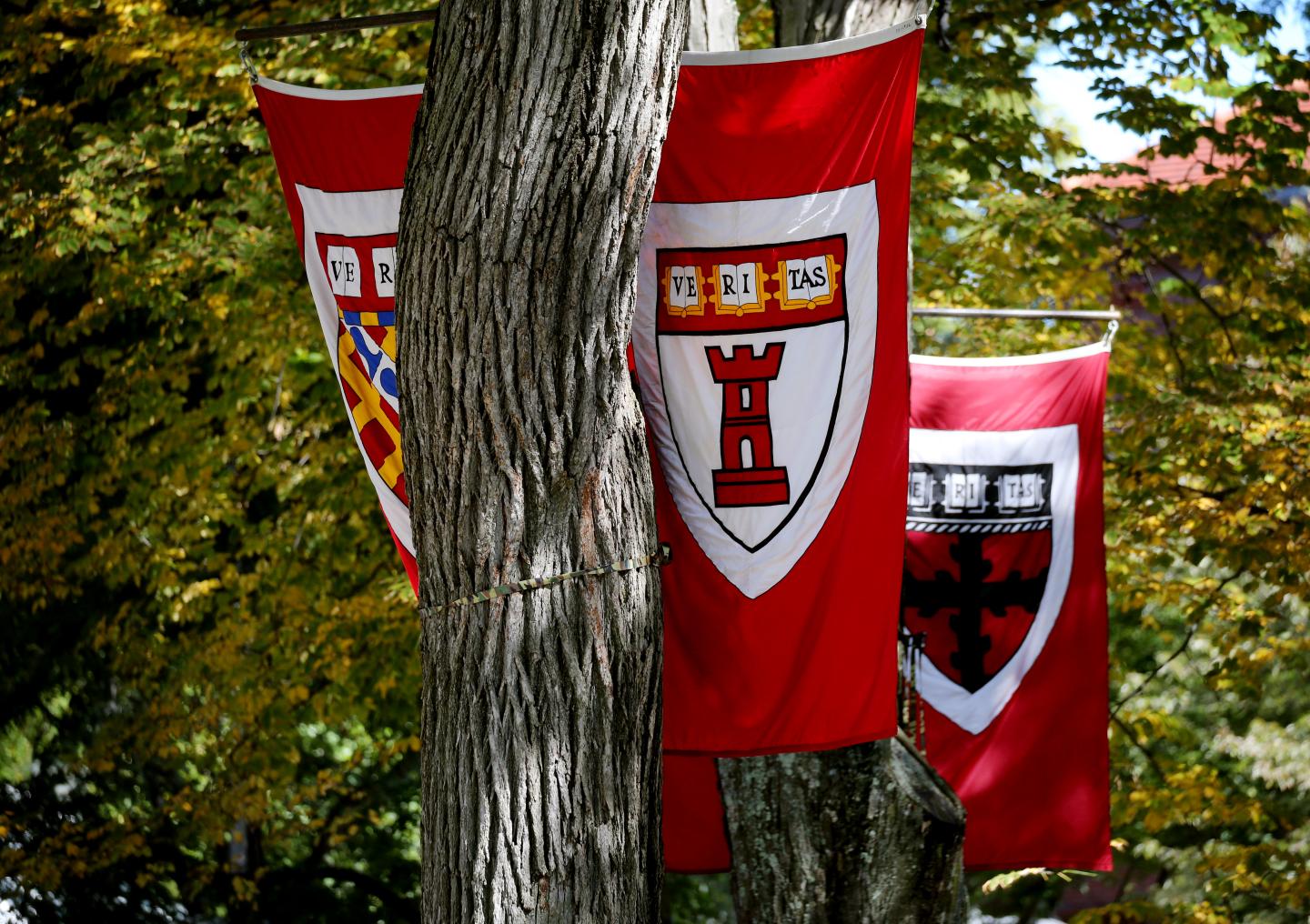 Harvard’s massive endowment fund will no longer invest in fossil fuels
