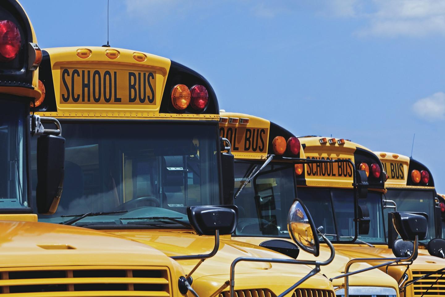 School buses