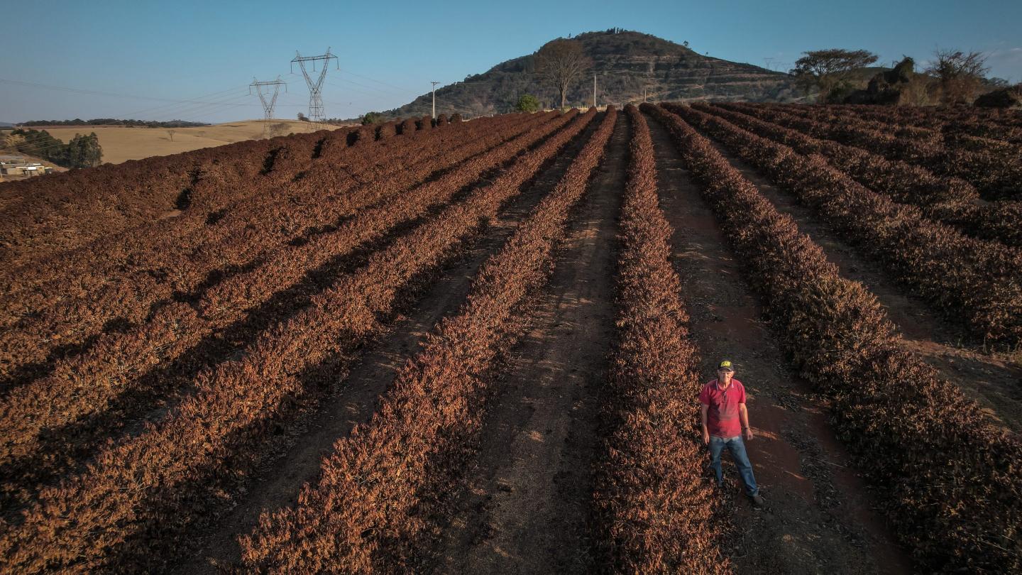 Fire, frost and drought are ravaging the country that makes breakfast for the world