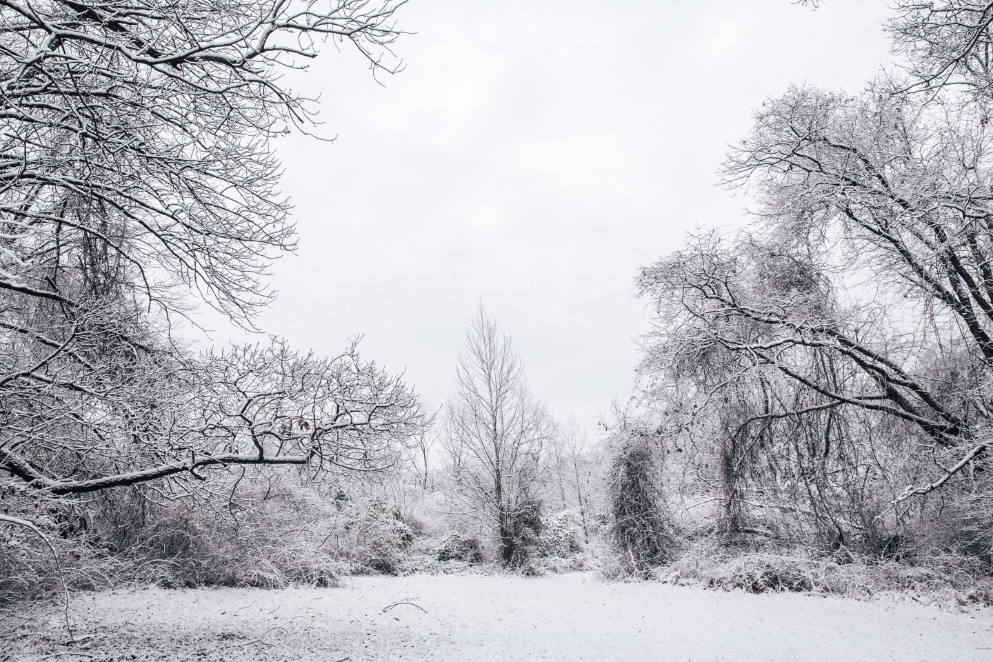 A.I. keeps on trucking despite threats of a long and cold winter