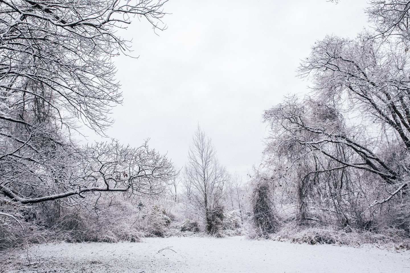 A.I. keeps on trucking despite threats of a long and cold winter