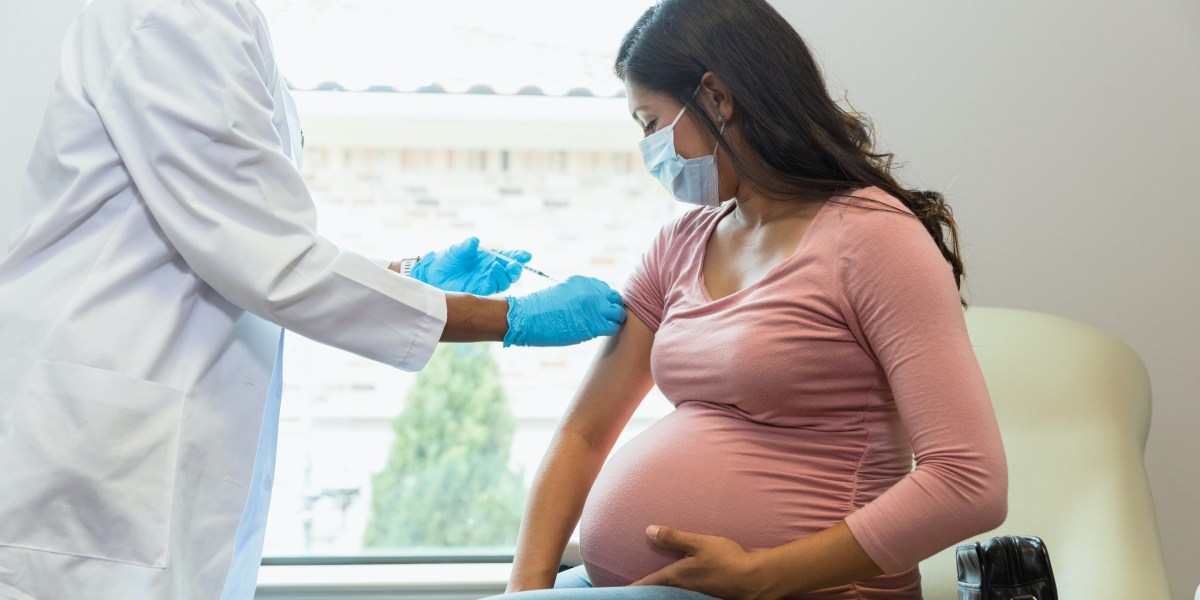 A study shows vaccinated pregnant women can pass on COVID immunity to their babies | Fortune