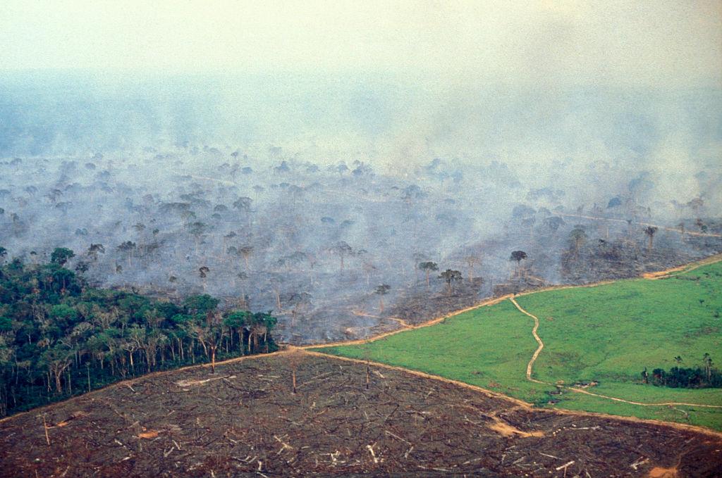 Global Witness reports a record number of environmental campaigners were killed last year