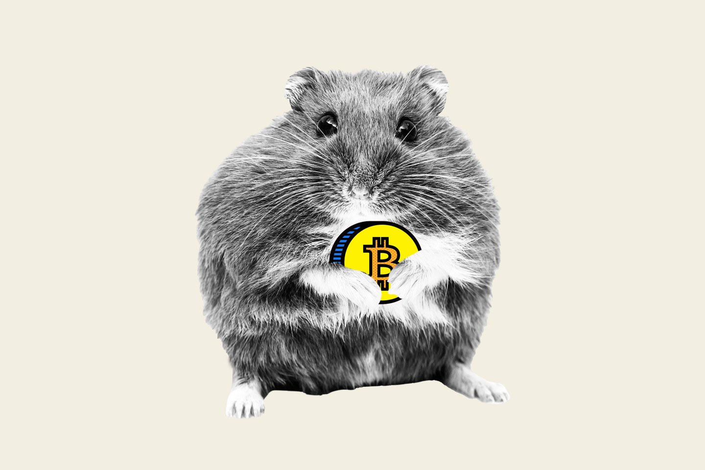 Mr.-Goxx-Hamster-Crypto-Trading
