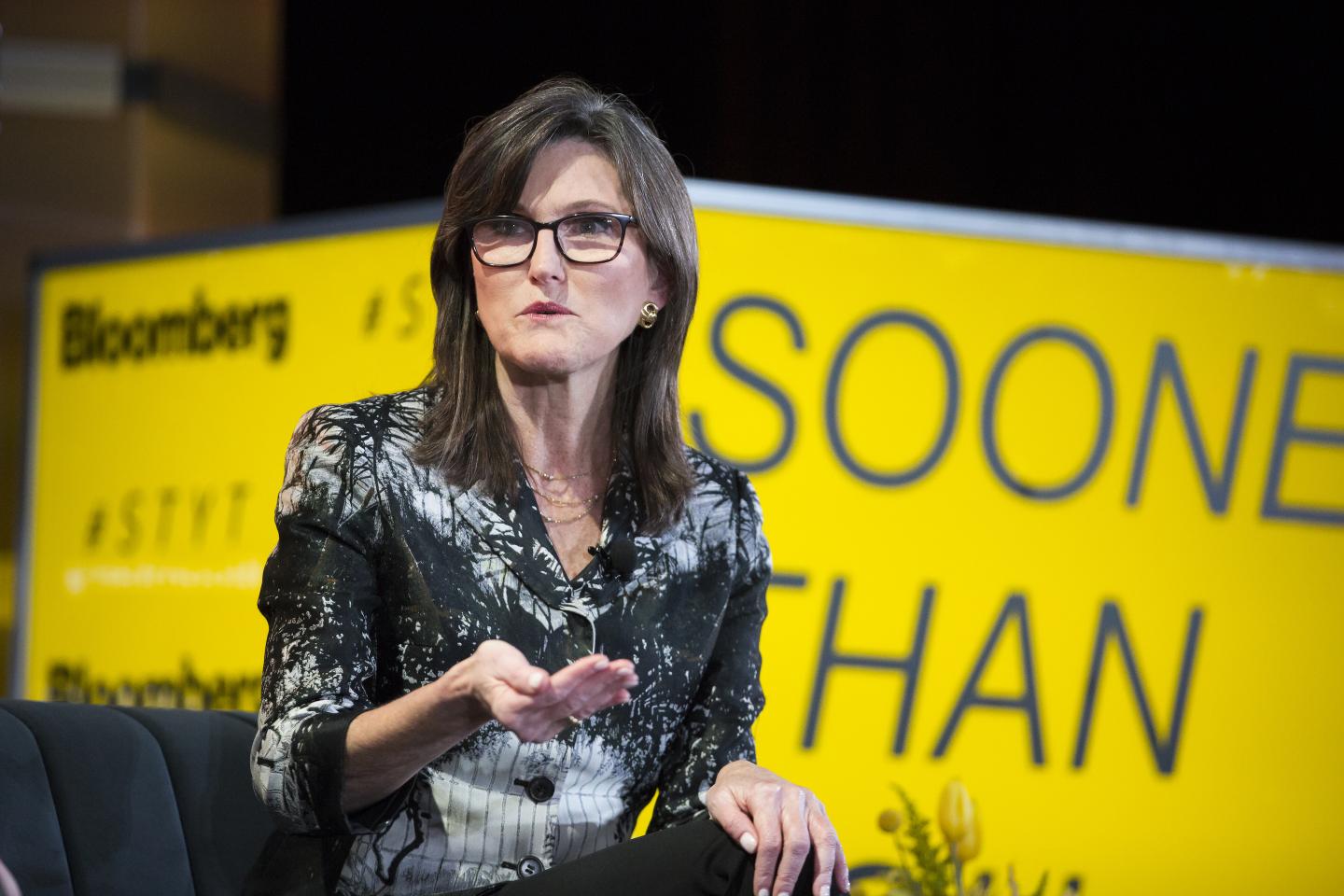 Cathie Wood believes most meme stocks are ‘dinosaurs’