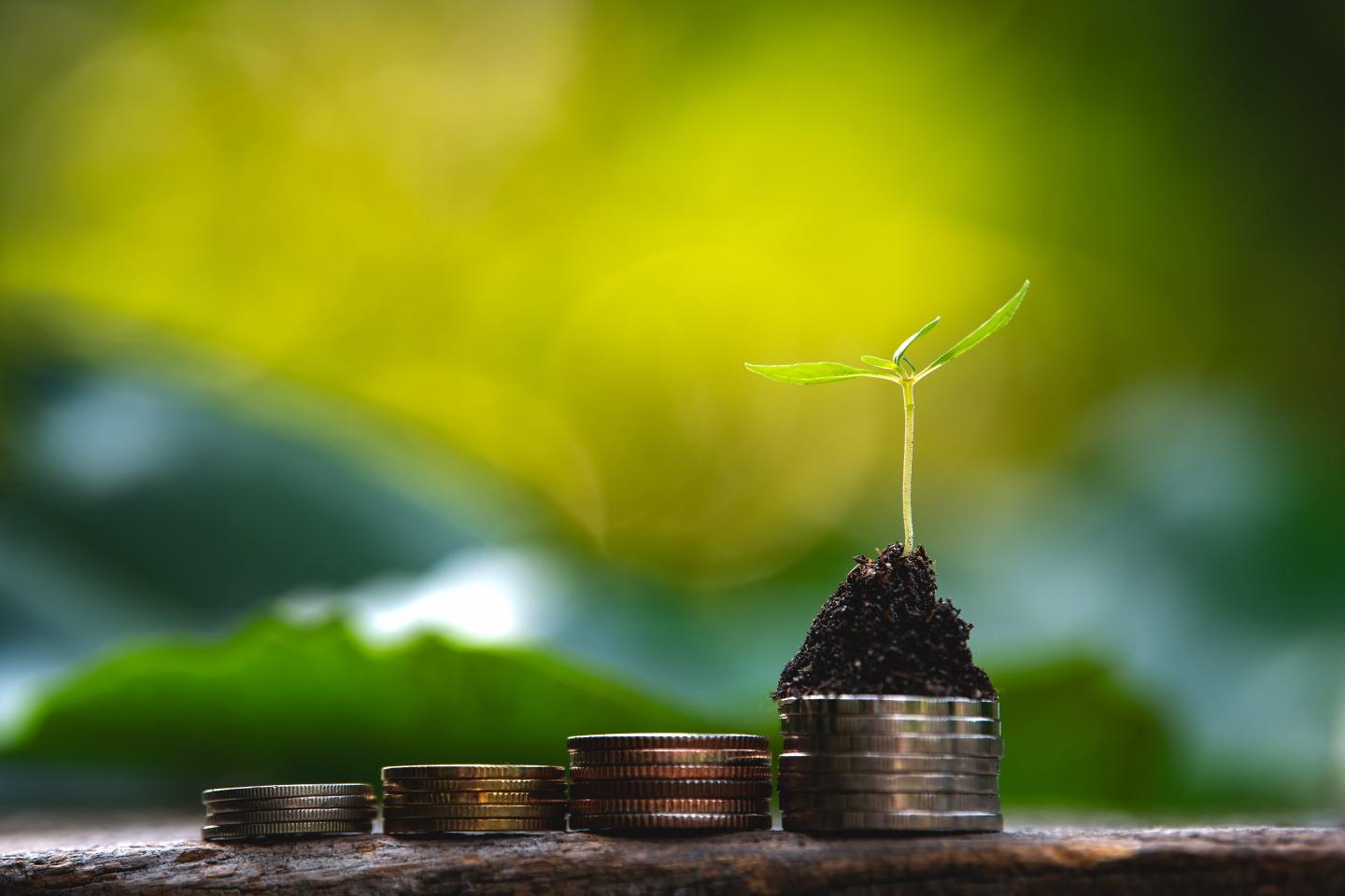 The ESG honeymoon is over