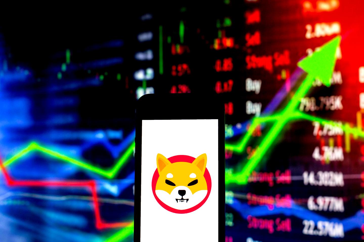 Shiba Inu crypto has already topped the market cap of these companies