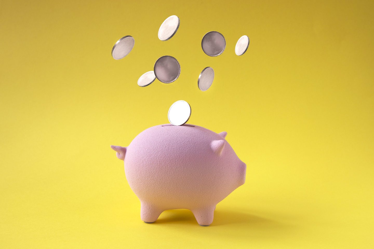 Piggy bank