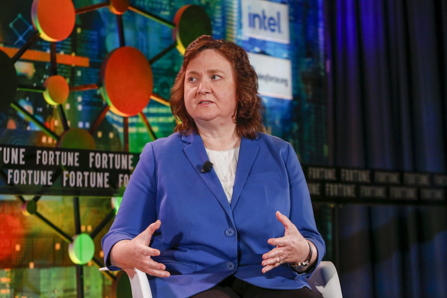 White House National Ai Initiative Director Lynne Parker