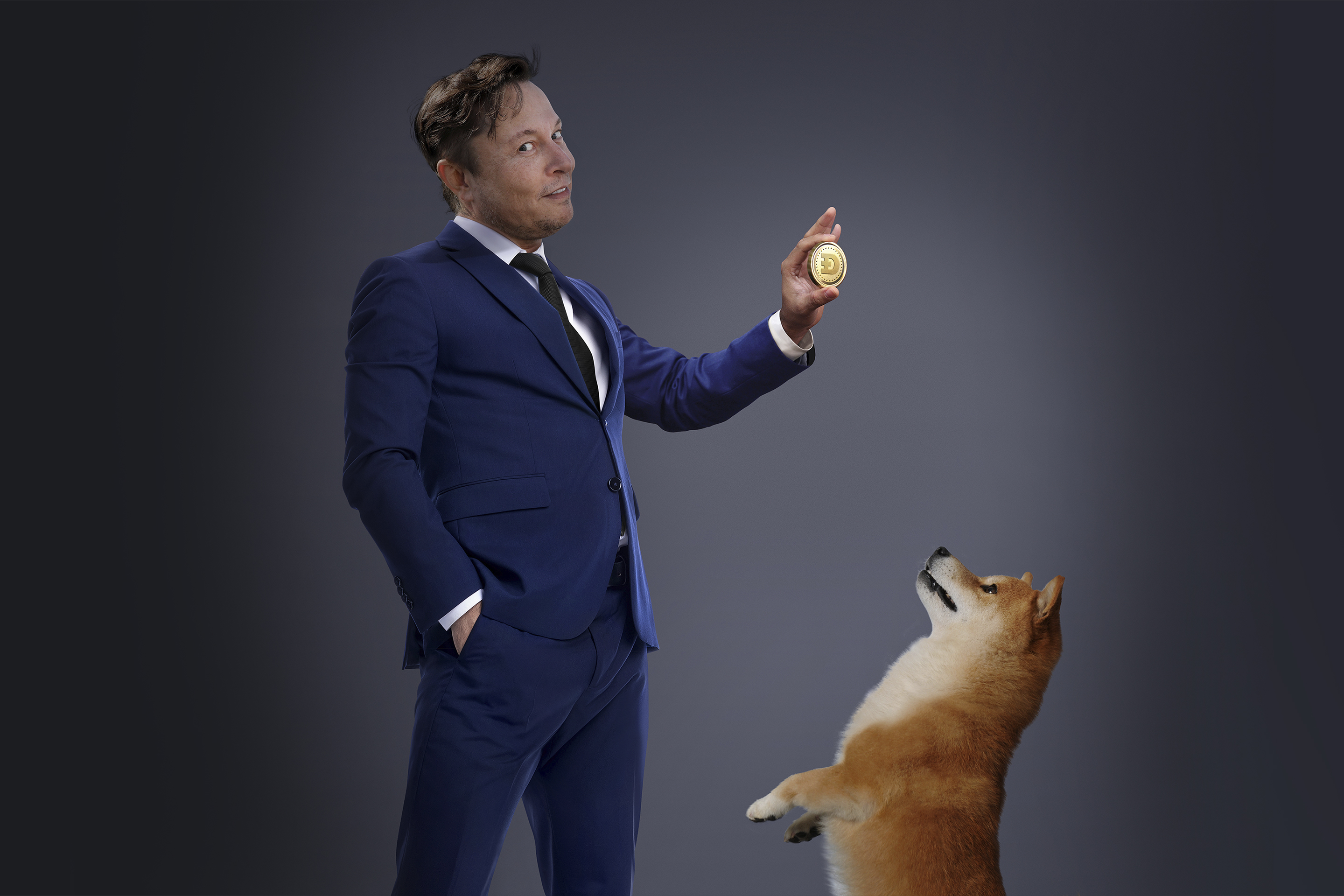 Elon Musk is the master of the markets. But how long will Tesla and the  meme stocks rule? | Fortune