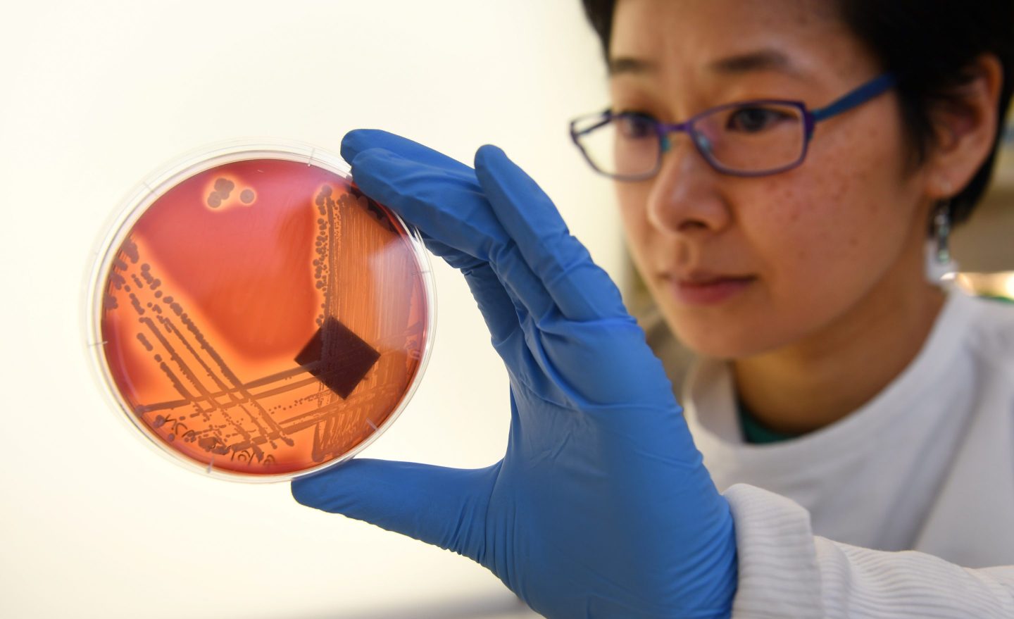 New antibiotics are generally used sparingly–leaving companies with little chance of selling enough doses to recoup their investment in research.