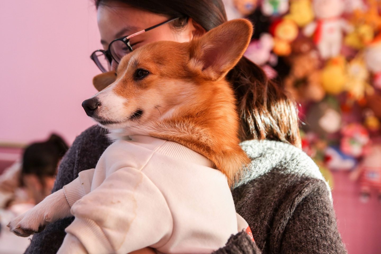 China's pet owners are concerned about going into isolation after a video of health workers beating a quarantined person's corgi went viral on Chinese social media. 