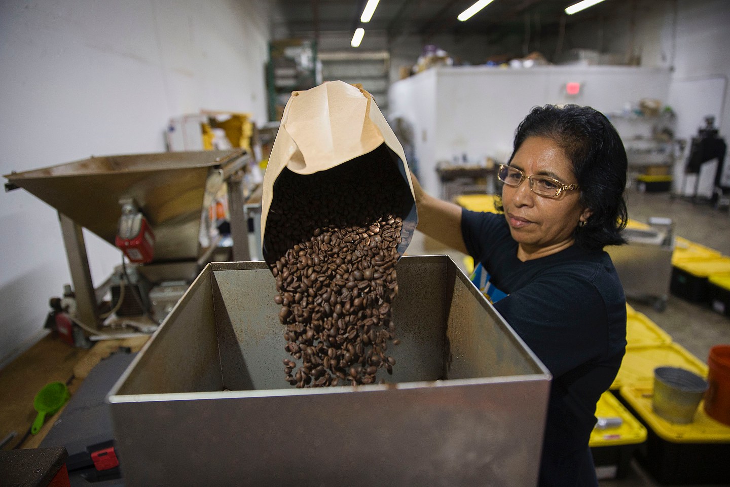 Photo of woman pouring coffee beans into bin