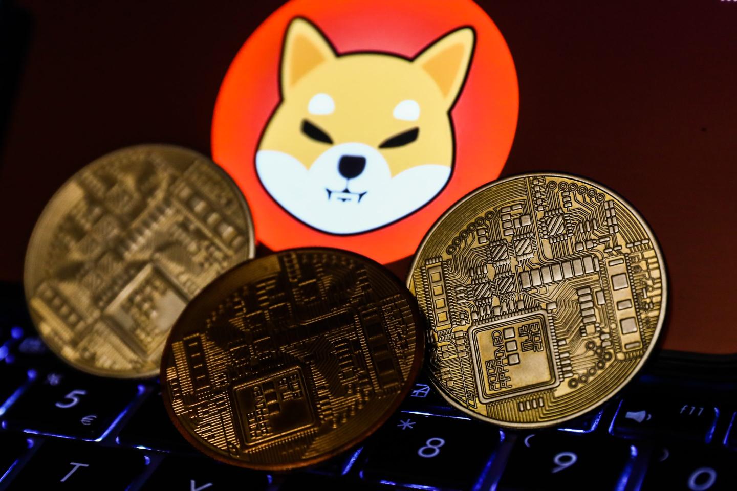Shiba Inu ‘whale’ wallet worth billions is scrutinized—as the crypto tumbles